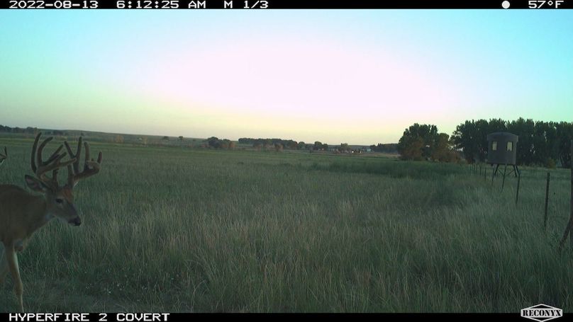 RCNX0928_38727608054599