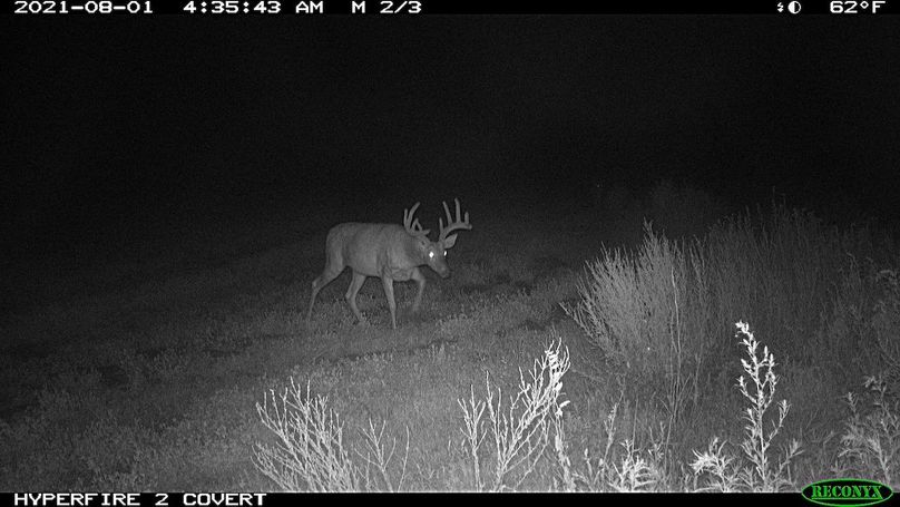 B395E9BE-E443-48EF-ADEF-434B0E2E96F2