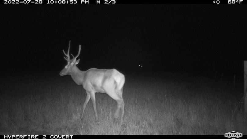 RCNX0116_82797116966799