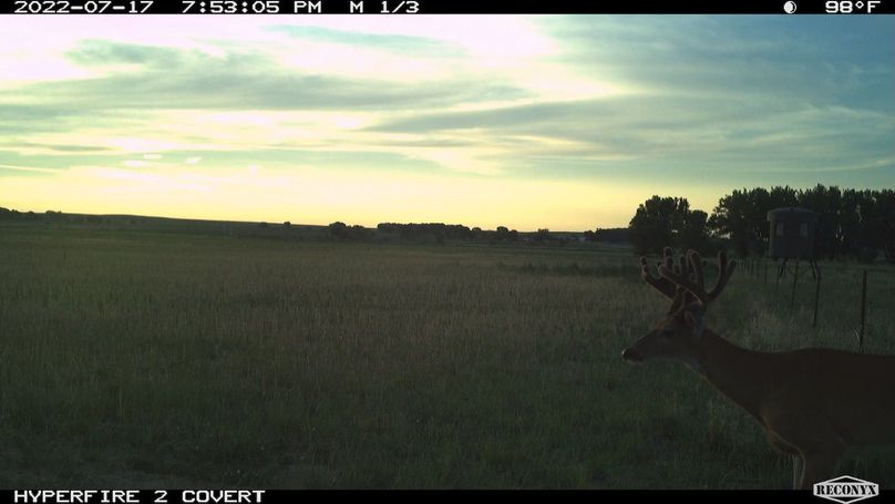 RCNX1011_321237274591674