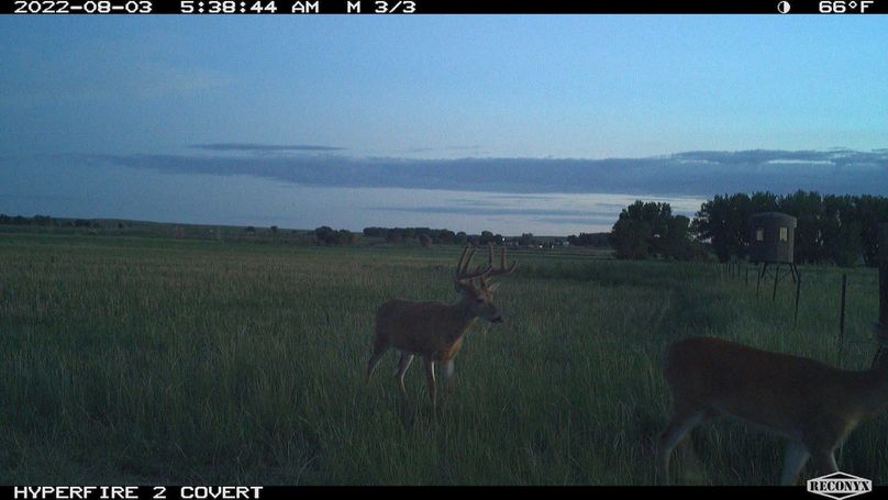 RCNX0434_38974058893515