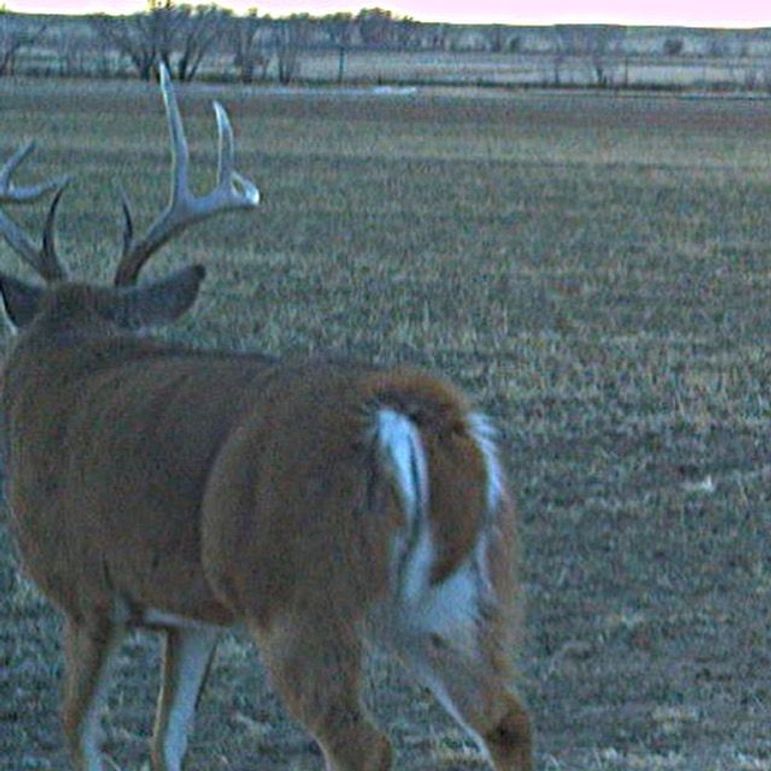 Copy of D845323B-9451-46FA-861F-E619690866FF