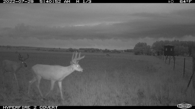 RCNX0157_82848778858966