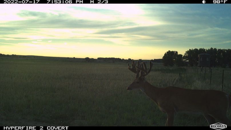 RCNX1012_321223835802981