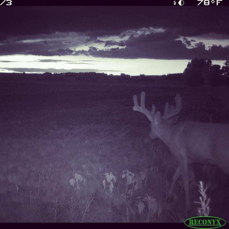 Copy of BE72DF98-(1)