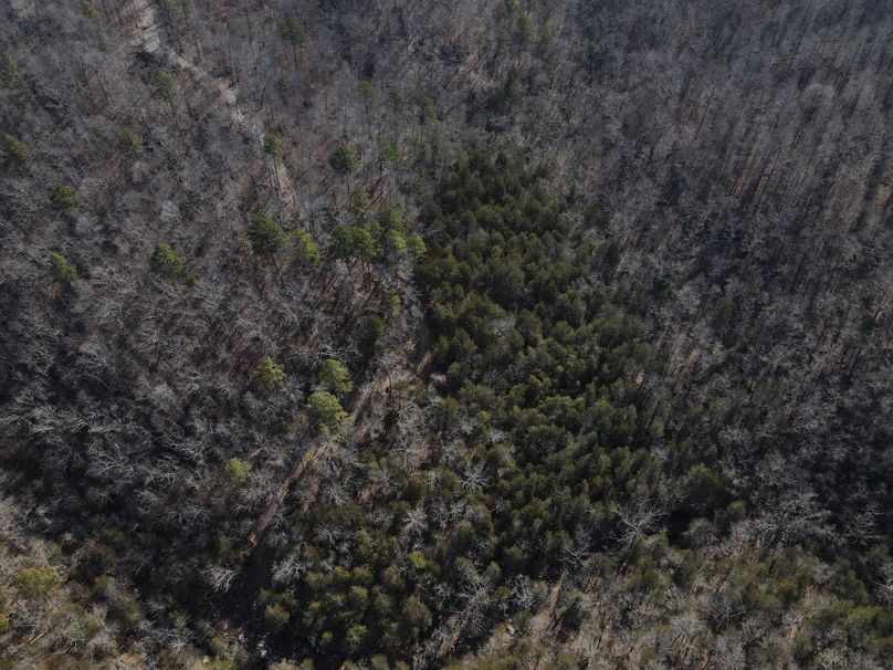 DJI_0740