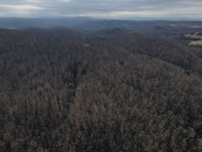 DJI_0743