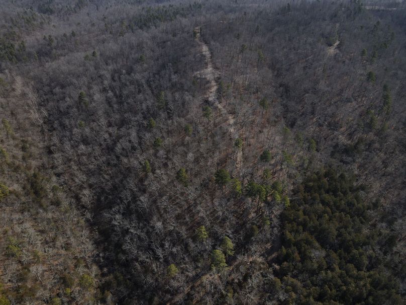 DJI_0742
