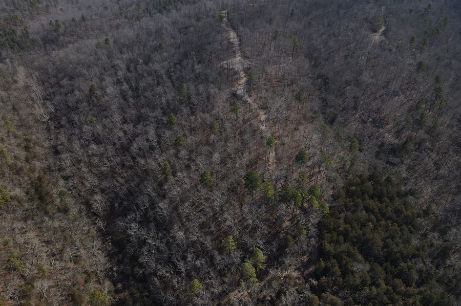 DJI_0742