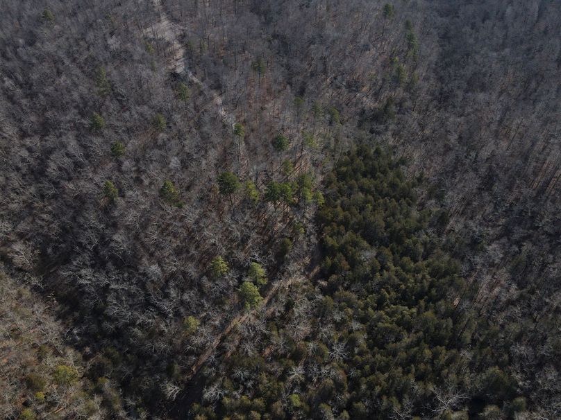 DJI_0741