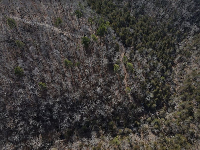 DJI_0738