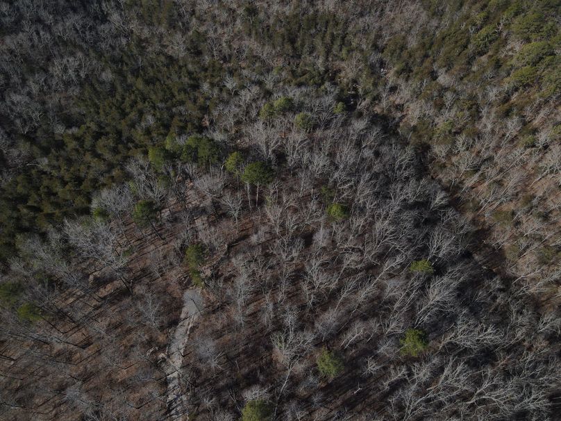 DJI_0737