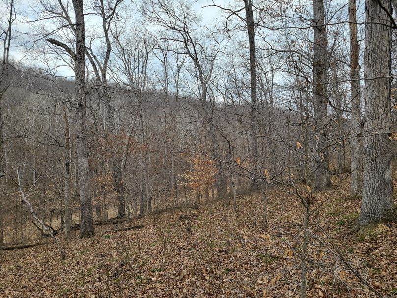 Copy of 20220221_142016