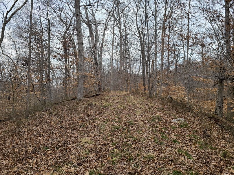 Copy of 20220221_142434