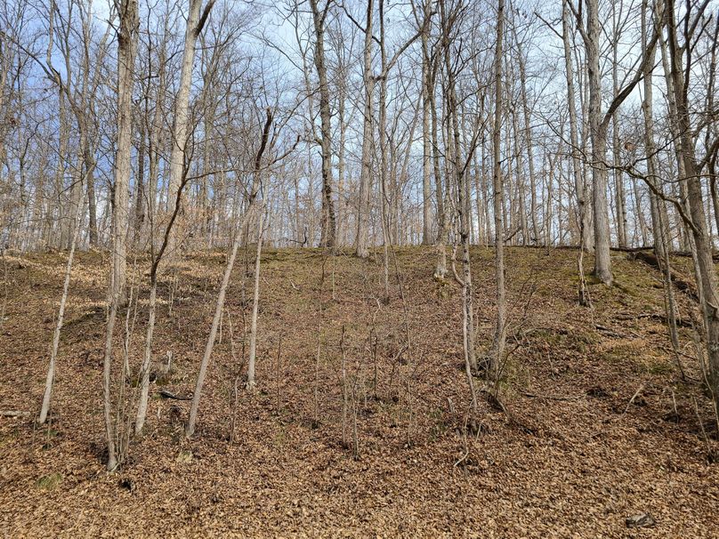 Copy of 20220221_140328