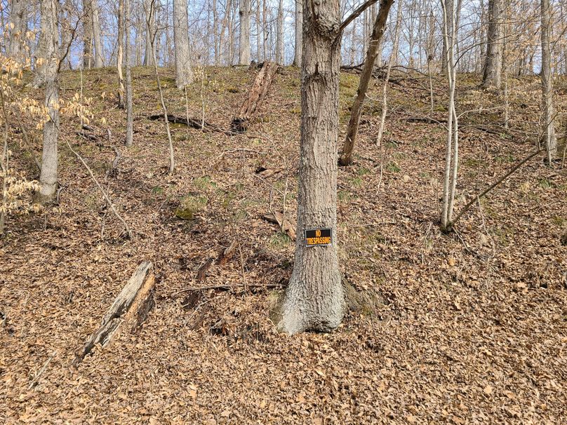 Copy of 20220221_140352