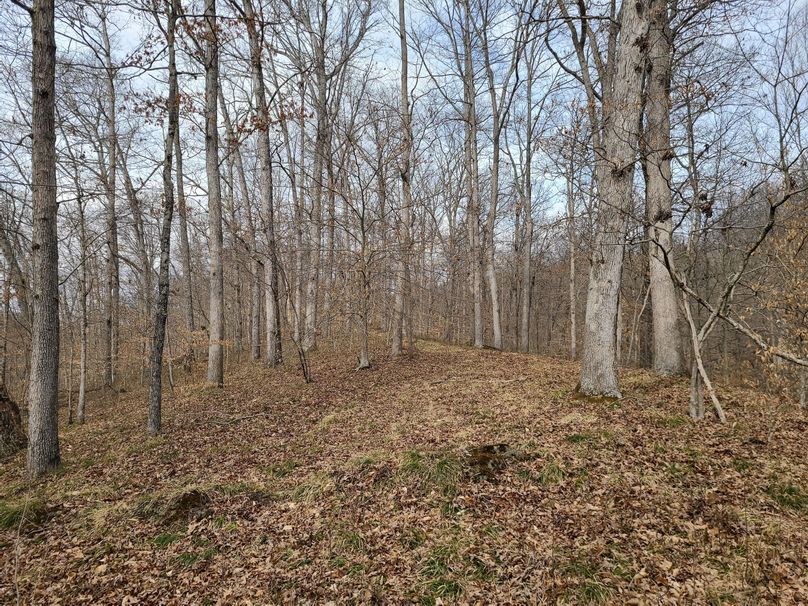 Copy of 20220221_141548