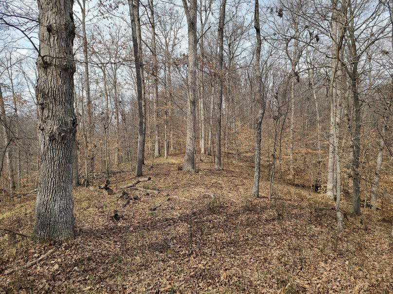 Copy of 20220221_142654