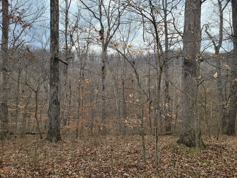 Copy of 20220221_141927