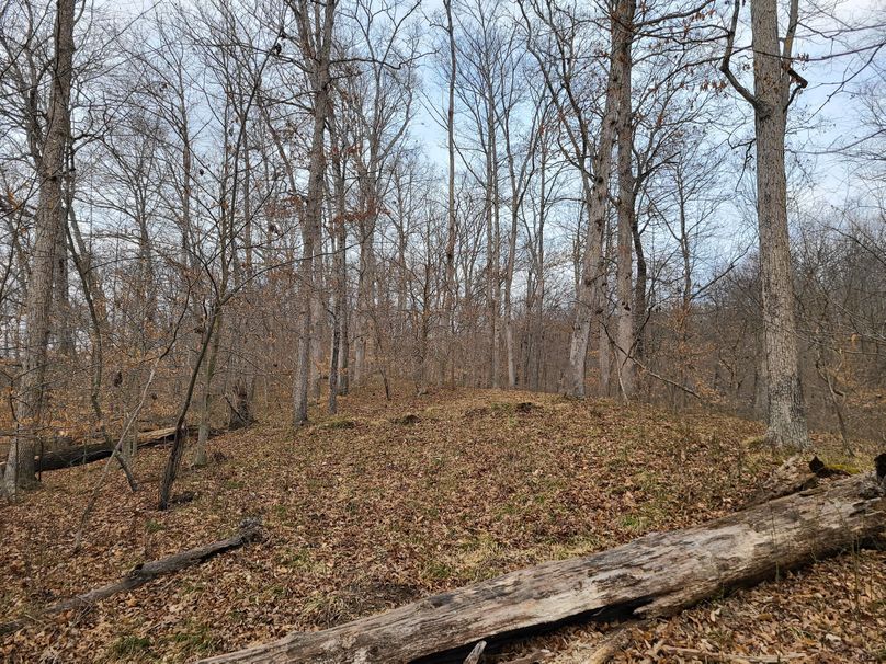 Copy of 20220221_141506