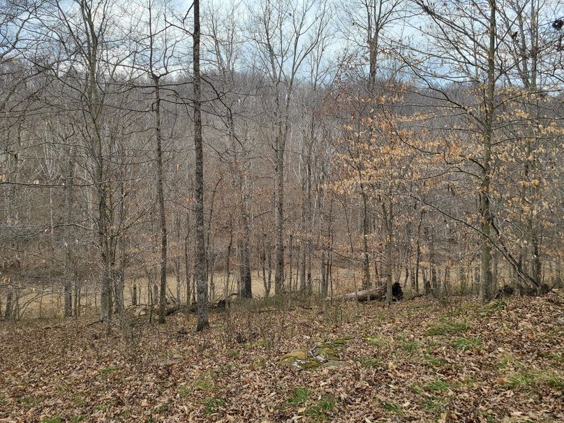 Copy of 20220221_142314