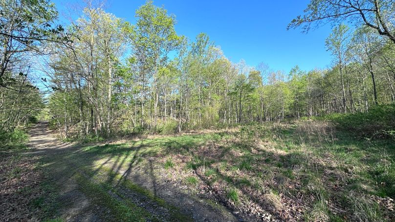 Cumberland 78 (Main)
