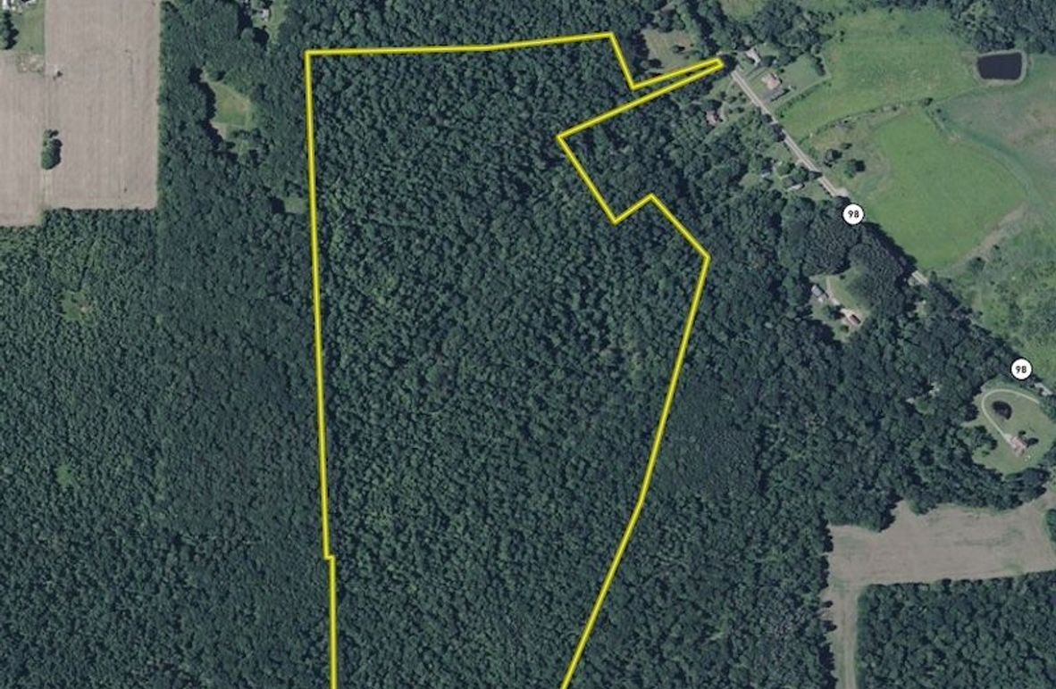 Screen Shot 2025-06-10 at 6.13.12 PM