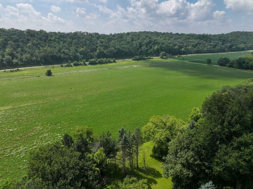 Goodhue 78.81 New -07