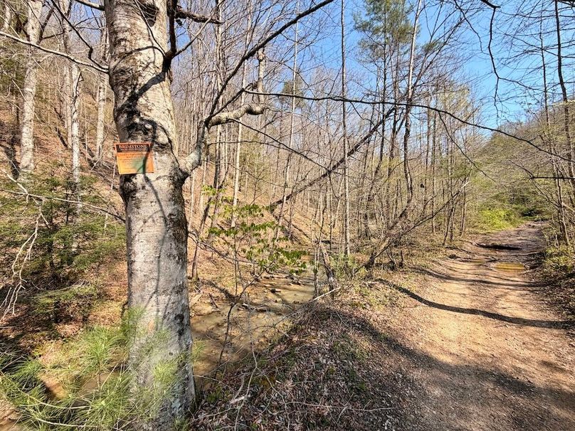 Scott Co TN 286 Keeton_035