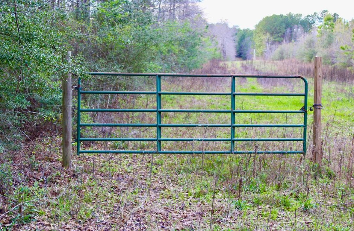 6D363A05-CE09-45D9-B092-DE971A76ABF9_1_105_c