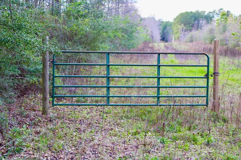 6D363A05-CE09-45D9-B092-DE971A76ABF9_1_105_c