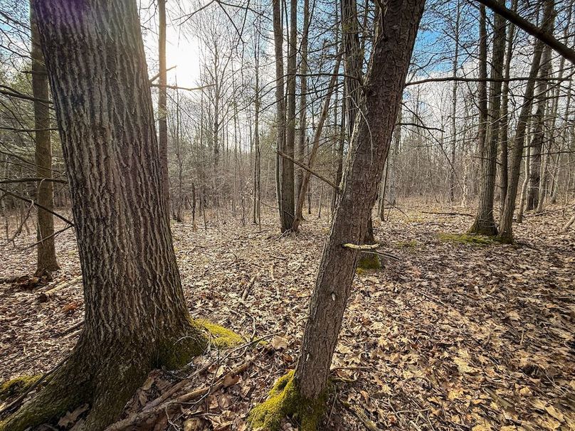 Chemung_59.65_Kocsis_photos_40