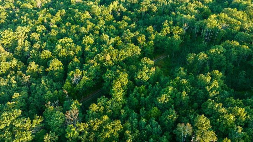 Cass MN 1095 Featured ProPhoto-64