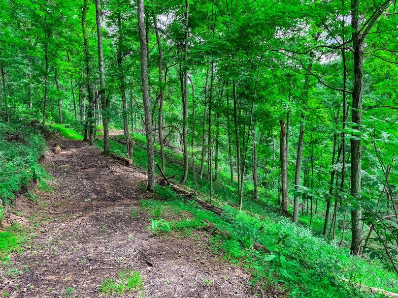 Wirt, WV 137.45 AC Full-39