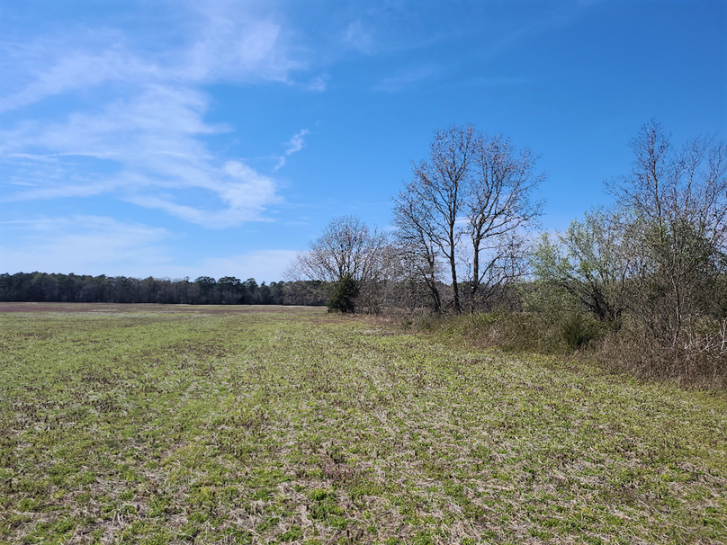 115.68ac_HarmonyRd_PIC_014