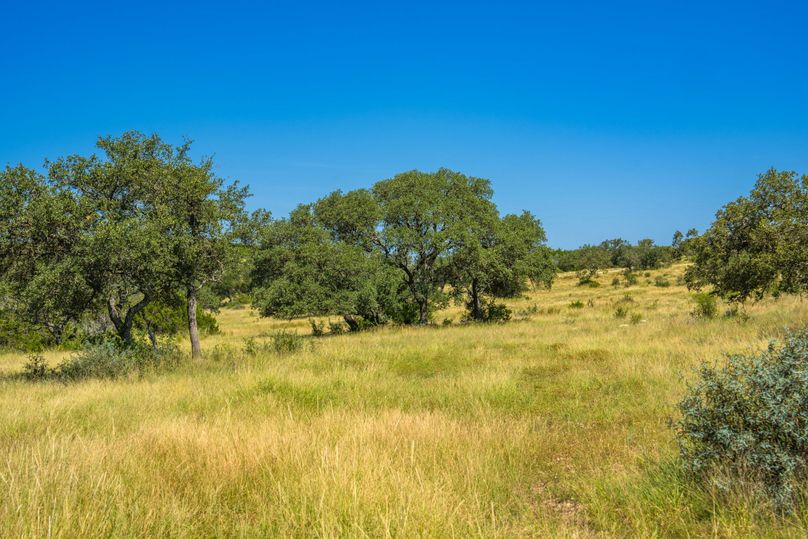 11-web-or-mls-DSC08149