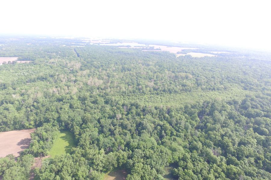 Rend lake in the background
