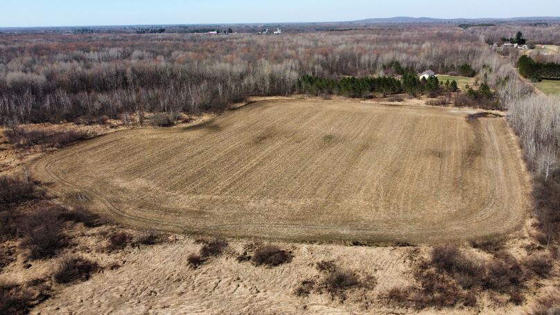 dji_fly_20230413_105830_346_1681401627700_photo_optimized