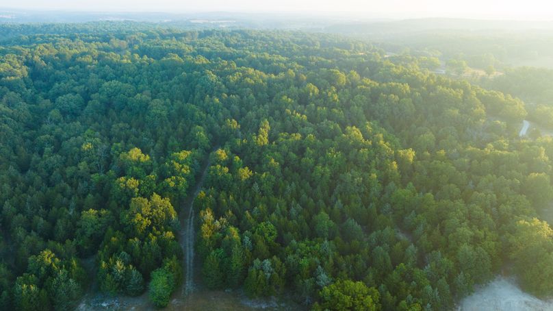 Webster MO 106 Featured_Pro Photo-8