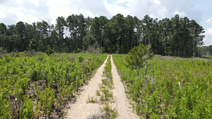 dji_fly_20230715_115524_194_1689436540549_photo