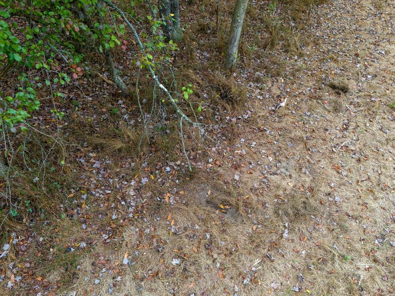 DJI_20251015102810_0023_D