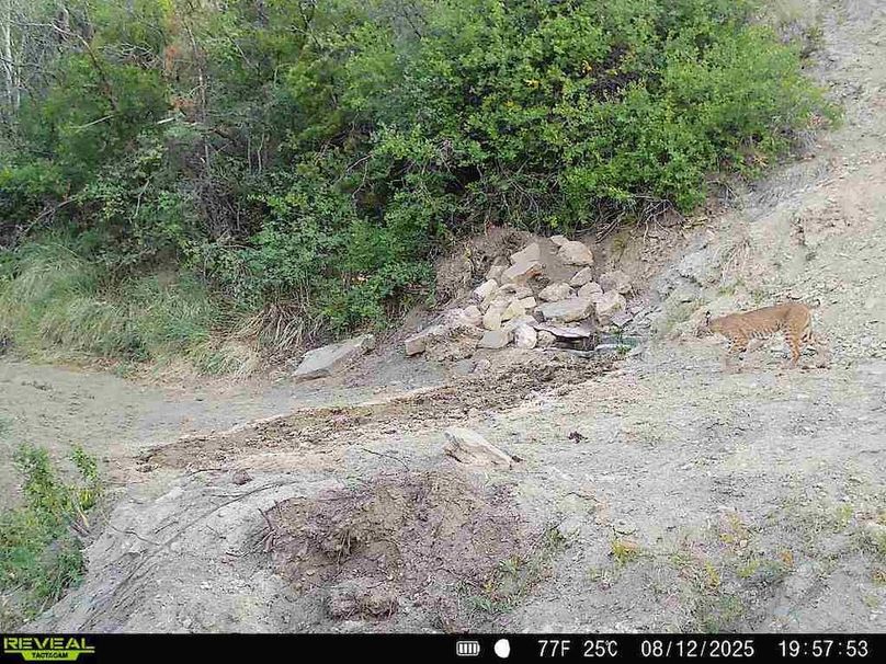 860516063676799-100-3-08122025195752-V-W1010698