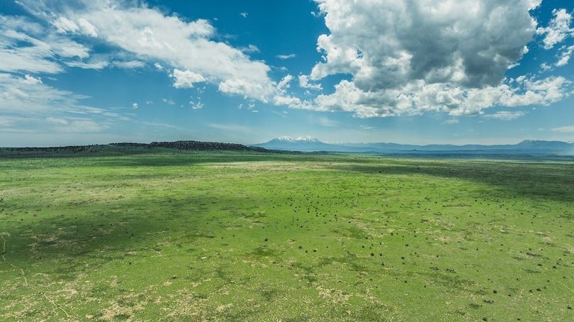 DJI_20240520161354_0150_D