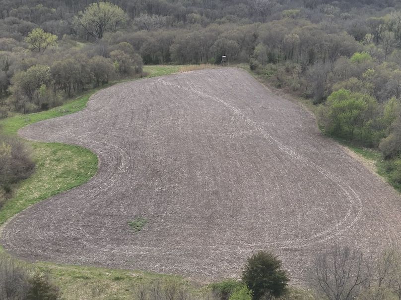 DJI_20250424131326_0010_V