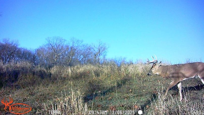 TRAIL CAM 15