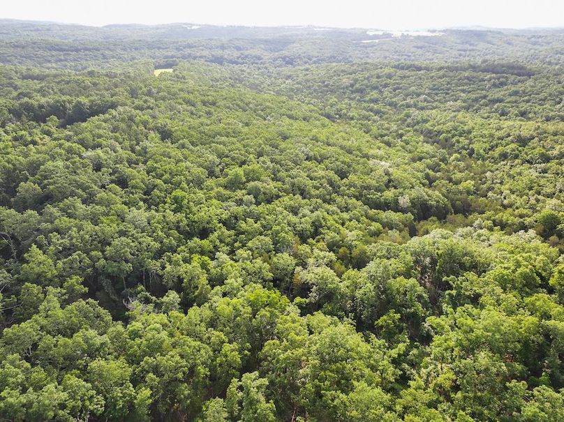DJI_20260602075803_0251_D