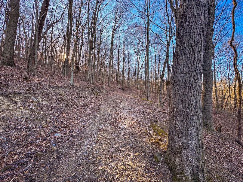 Pleasants, WV 81 AC Barron-22