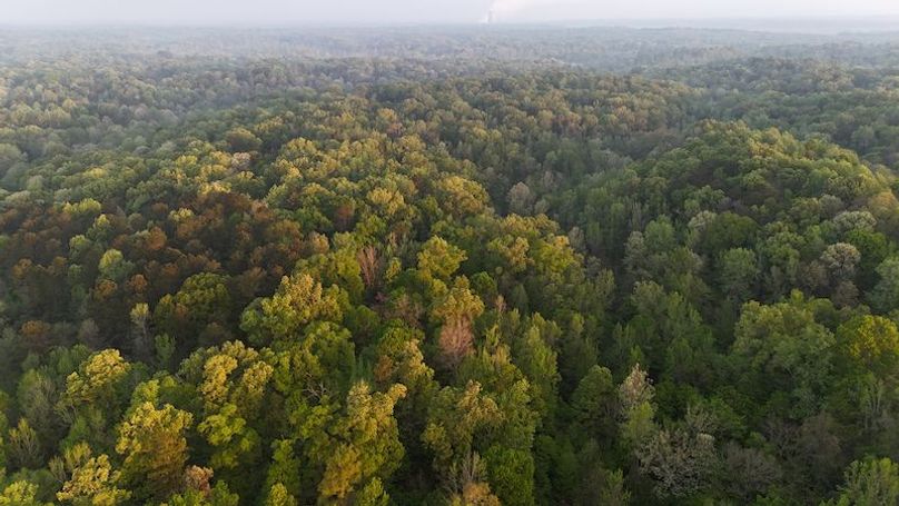 Claiborne Co-314-Fernandez-101