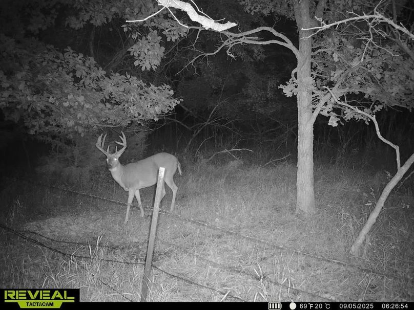 860322065434513-100-3-09052025075057-HD-SYEW5741