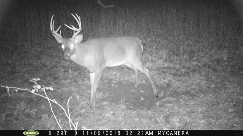 trail cam26